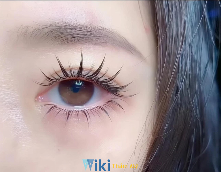 Địa chỉ uốn mi ở Bình Thạnh Len Beauty