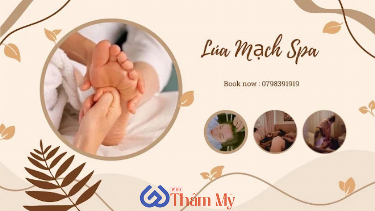 Lúa Mạch Spa ở Vĩnh Long