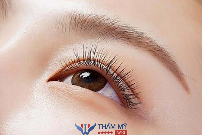 Nối Mi Hồng Hạnh  nối mi tại nhà ở Quận Bình Tân