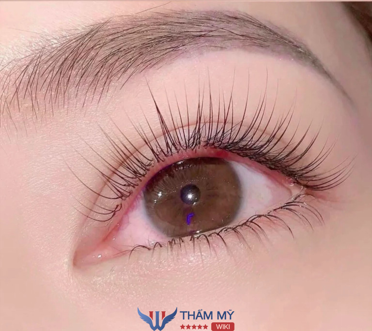  Tiệm nối mi đẹp ở Quận Hà Đông - Halu Beauty