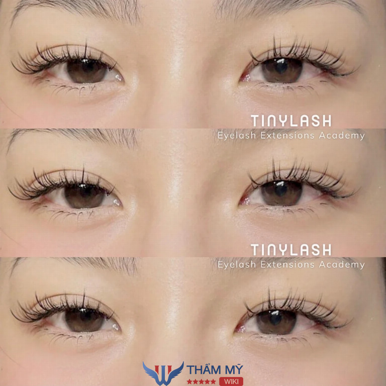 Tiệm nối mi ở Quận 1 Tinylash