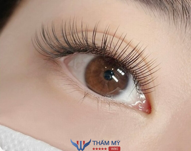 Tiệm nối mi ở Quận 10 Mỹ Nhân Eyelash & Nail