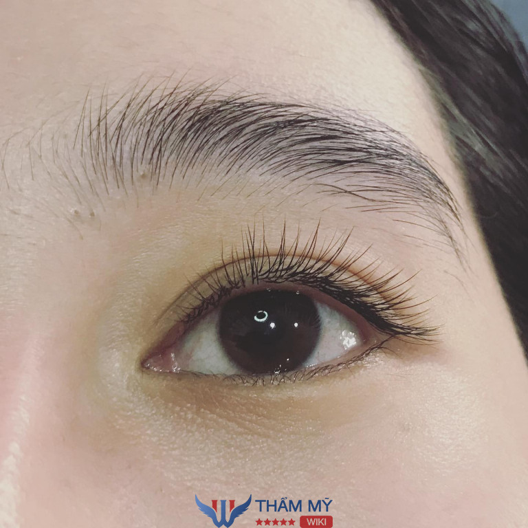 Tiệm nối mi Quận 3 Meilash