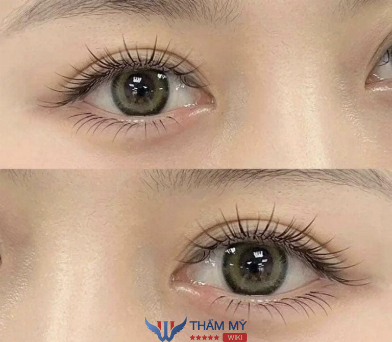 HaLyn Nail & Eyelash
