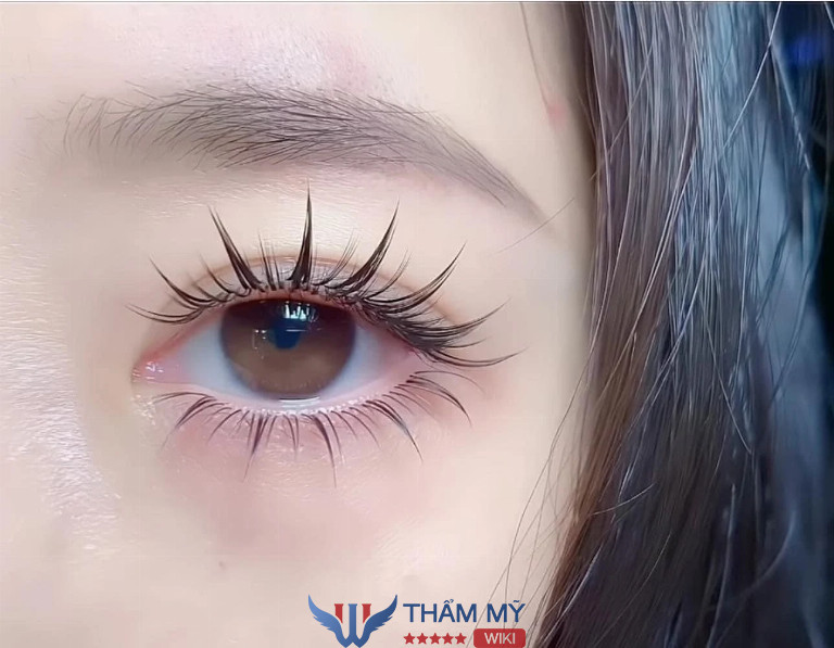 Tiệm nối mi Quận Bình Thạnh Len Beauty
