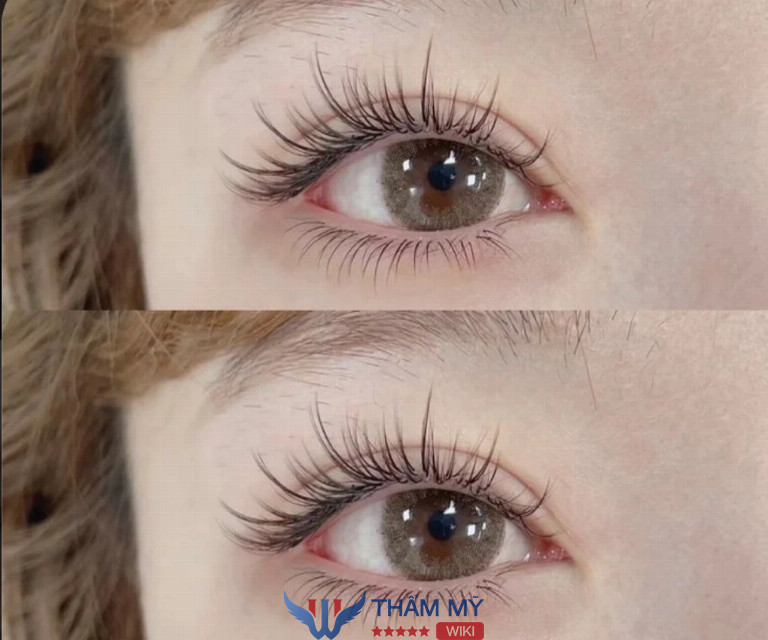 Tiệm nối mi tại Quận Tân Bình Nối Mi Cherry