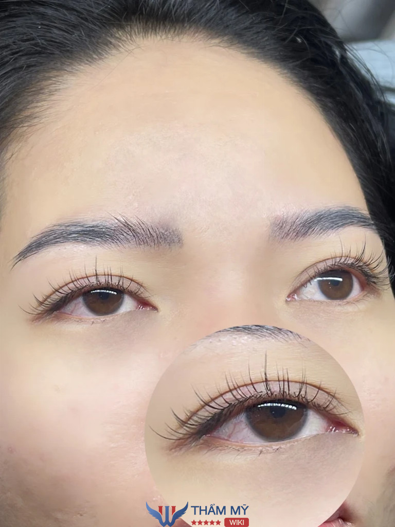 Tiệm nối mi ở Quận Tân Bình Lash Flyers