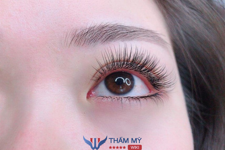 Tiệm nối mi tại Quận 7 Uốn mi Mỹ Mỹ