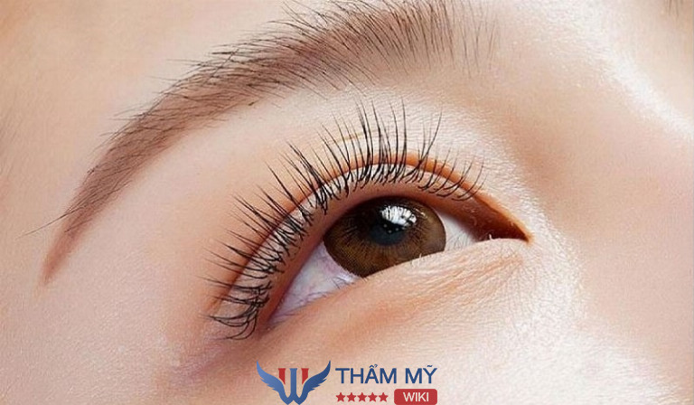Tiệm uốn mi đẹp TPHCM Meilash