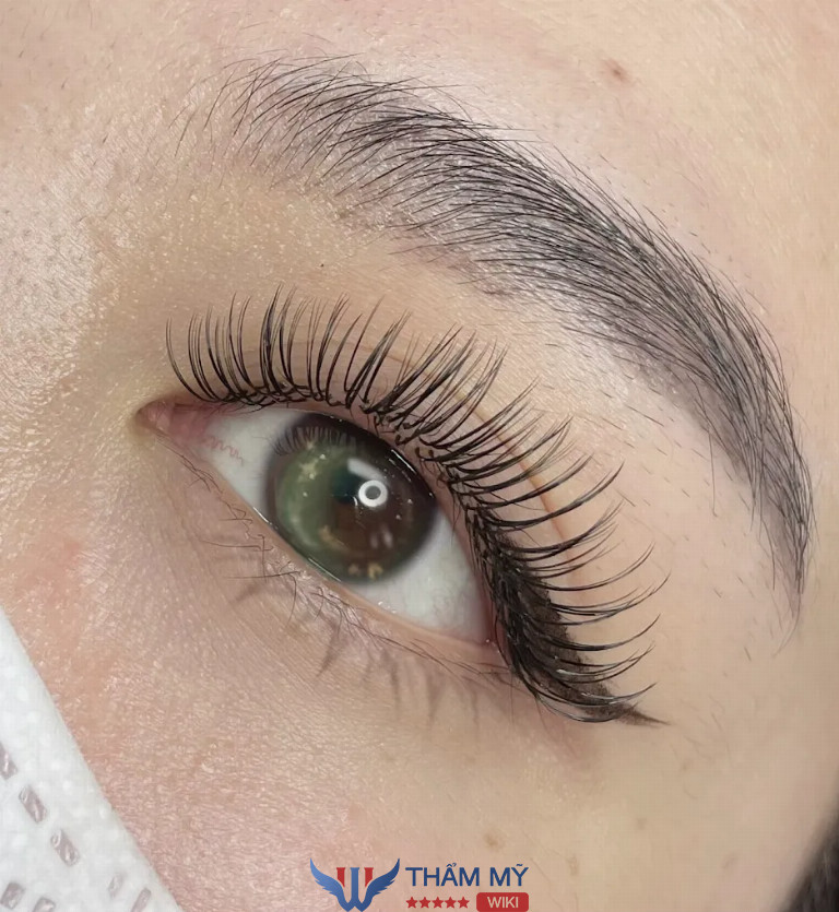 Tít Mi Eyebrow là địa chỉ uốn mi đẹp ở Hà Nội
