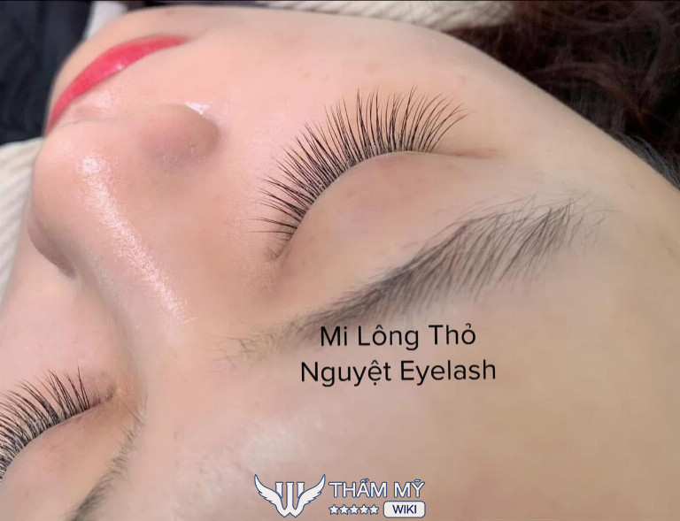 tiệm nối mi đẹp ở Hải Dương - Nguyệt Eyelash