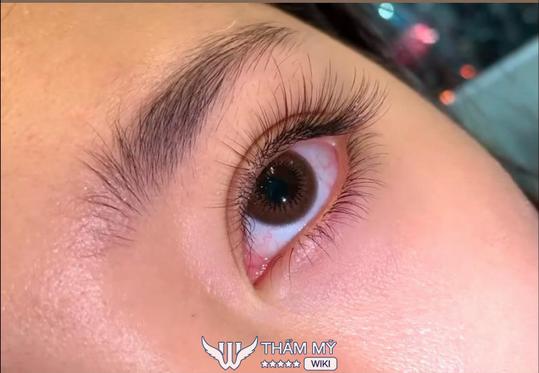 Địa chỉ nối mi đẹp tại Thái Nguyên - Natali Beauty Academy