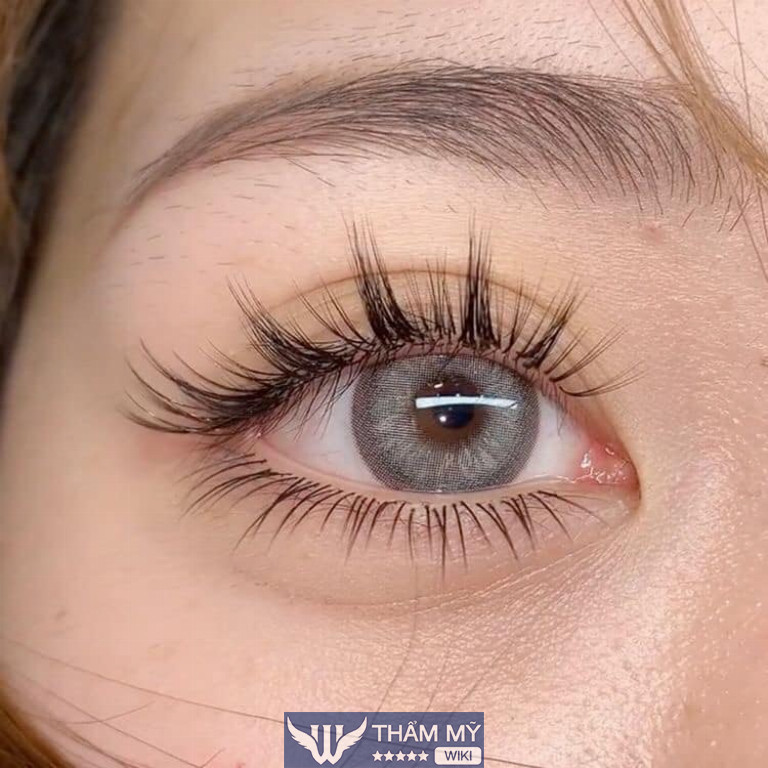 Quỳnh Tây Nối Mi là địa chỉ nối mi tại Hạ Long
