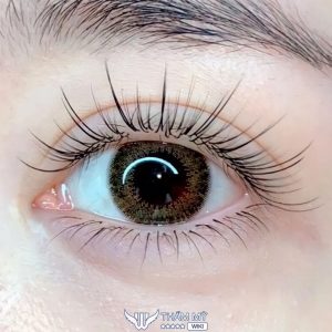 10 Tiệm nối mi đẹp tại Biên Hòa cho đôi mắt to tròn cuốn hút