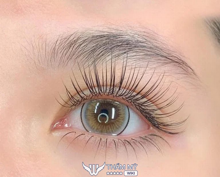 Tiệm nối mi đẹp tại Quảng Bình - Travy Luxury Beauty Center