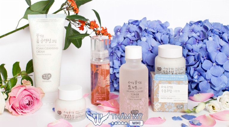 Maple Leaf, Hà Nội