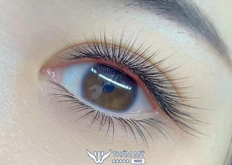 tiệm nối mi đẹp ở Ninh Bình - Lan Phương 