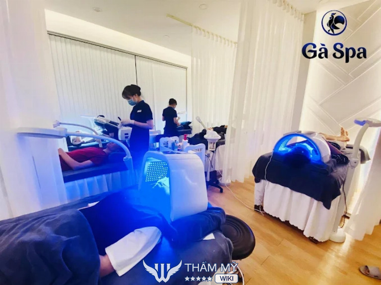 Gà Spa tắm trắng ở Đà Nẵng