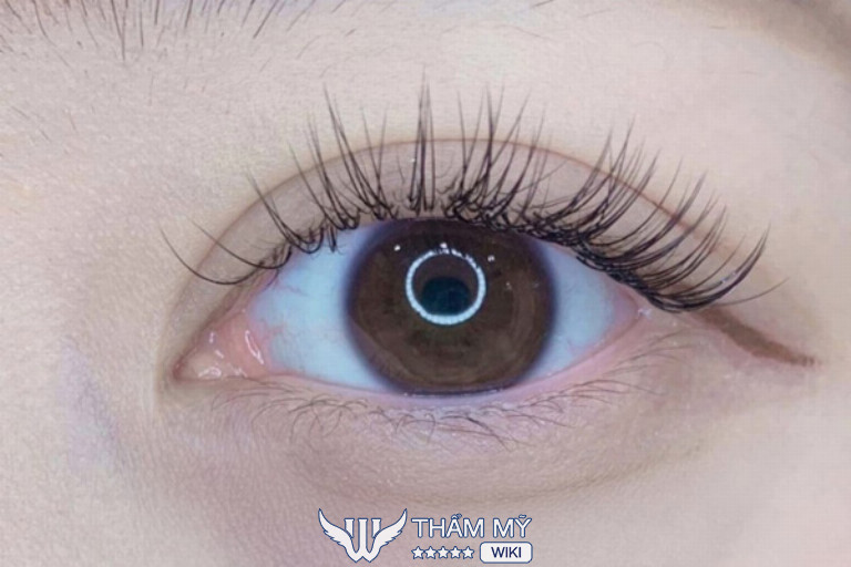 Ngân Trần Eyelash, Hà Tĩnh