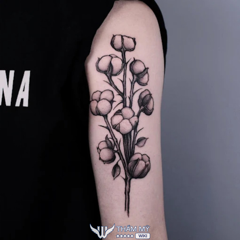 Hy Ink, Hải Phòng