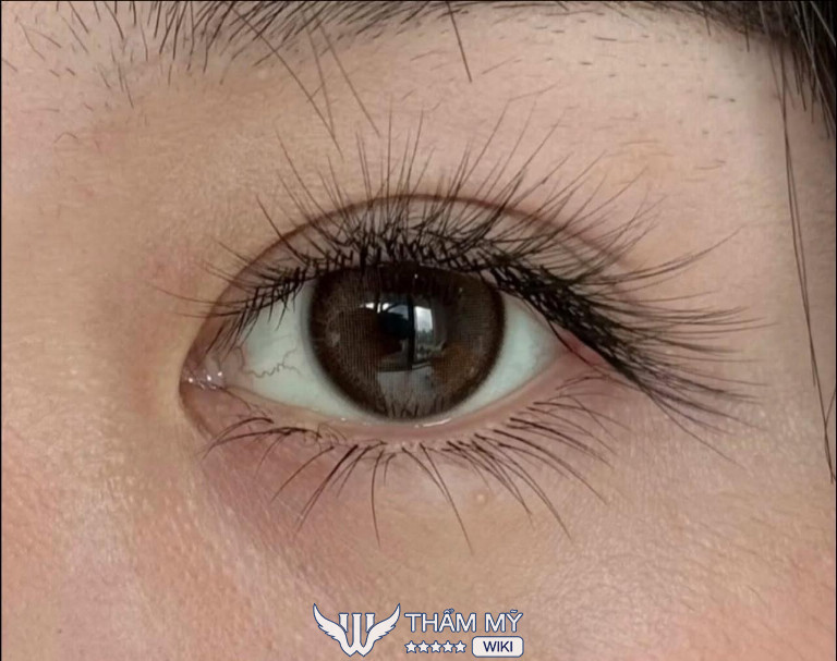 Tiệm nối mi đẹp giá rẻ tại Long An