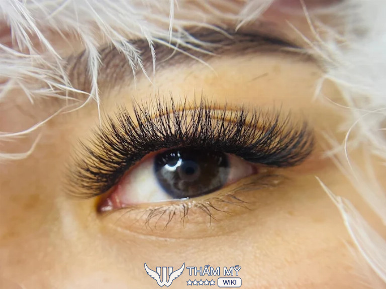 Tiệm nối mi Bình Thuận 