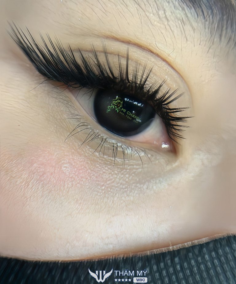 Tiệm nối mi giá rẻ ở Ninh Thuận Mi Chảnh