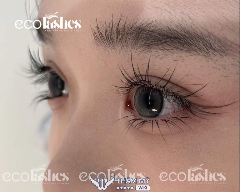 Tiệm nối mi đẹp ở Hưng Yên EcoLashes