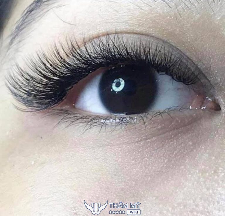 Tiệm nối mi đẹp ở Quảng Trị Thảo Phạm