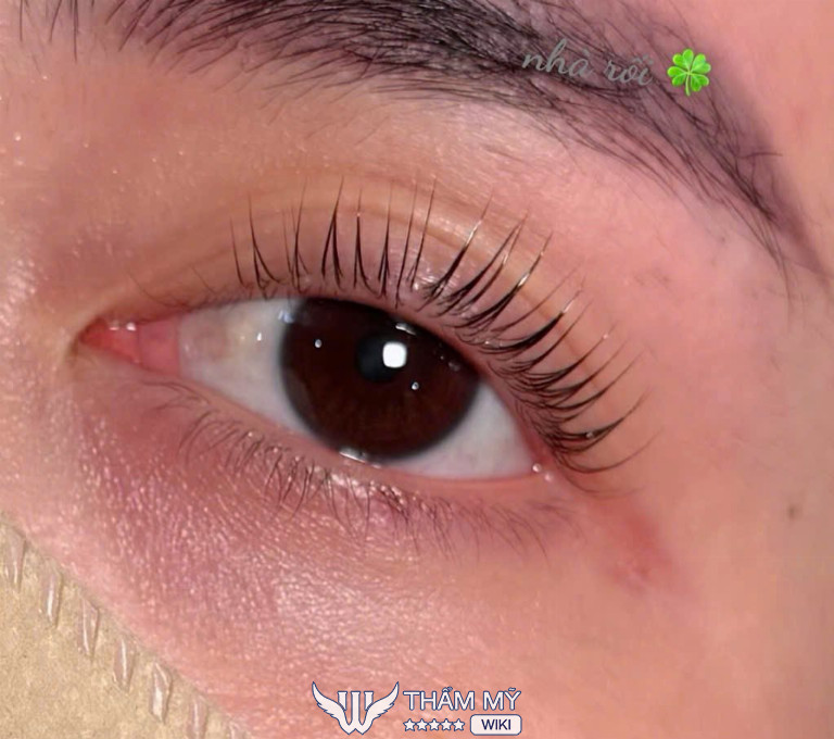 Rối Rối Tiệm nối mi tại Hậu Giang