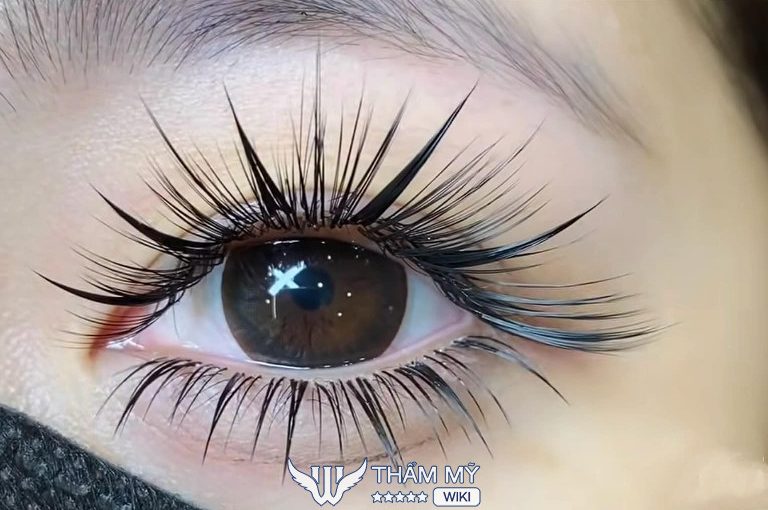 địa chỉ nối mi đẹp tại Phú Thọ Nguyễn Hằng Eyelash
