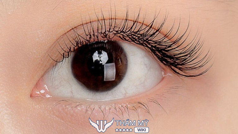 Địa chỉ nối mi đẹp ở Lạng Sơn K.I.M Spa Beautycenter