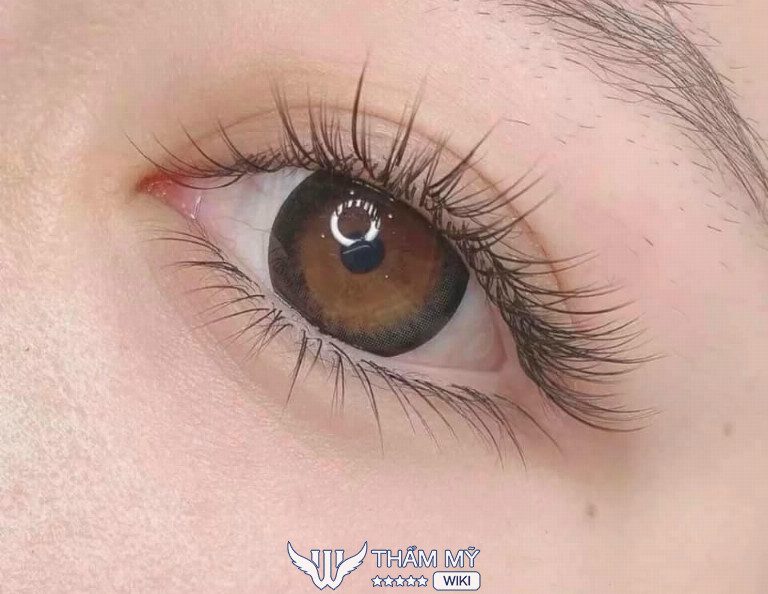 Địa chỉ nối mi ở Lạng Sơn - Mi Bé Spa