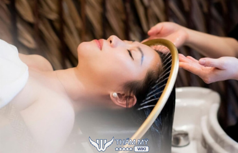 Sen Gội Đầu Dưỡng Sinh Phú Thọ